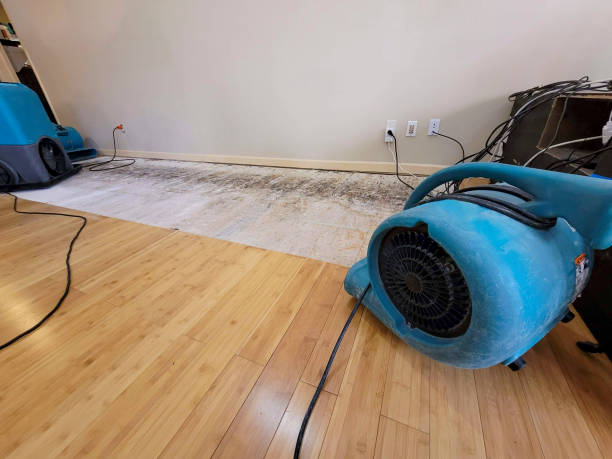 Professional Water Damage Repair technician working in Ben Wheeler, TX